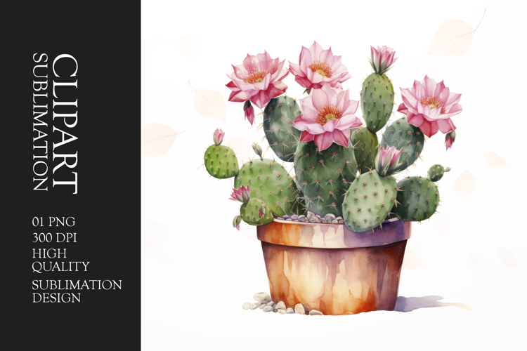 Watercolor Cactus Clipart Image 20