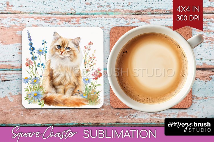 Cat Png Image 7