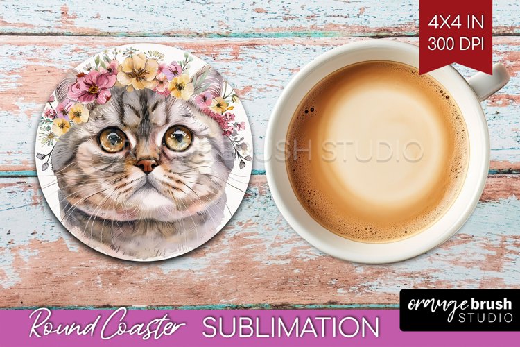 Cat Png Image 7