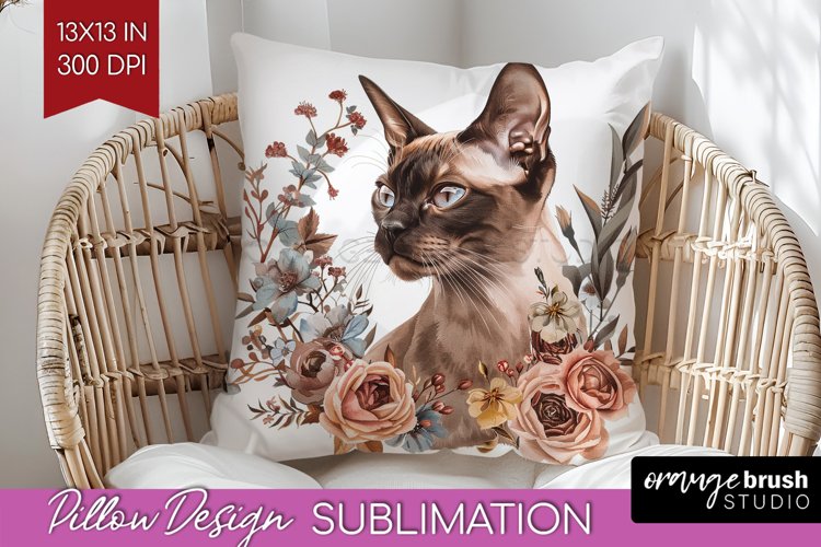 Cat Png Image 15