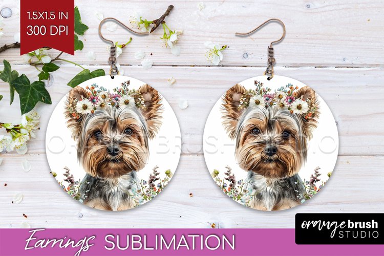 Earrings Png Image 24