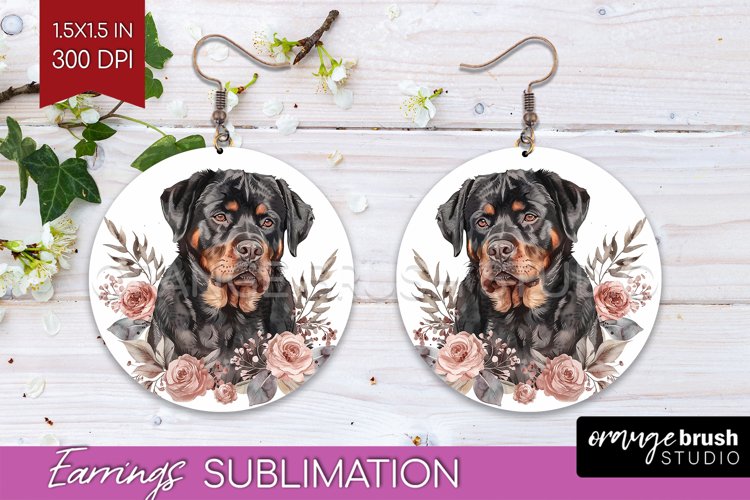 Earrings Png Image 23