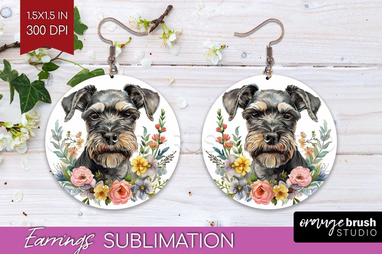 Earrings Png Image 22