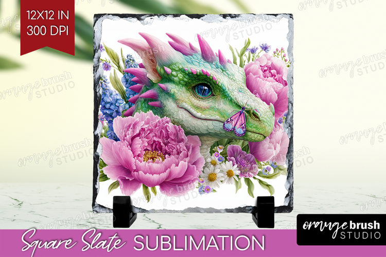 Dragon Png Image 13