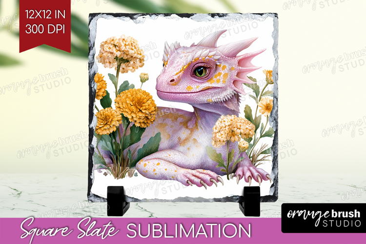 Dragon Png Image 12