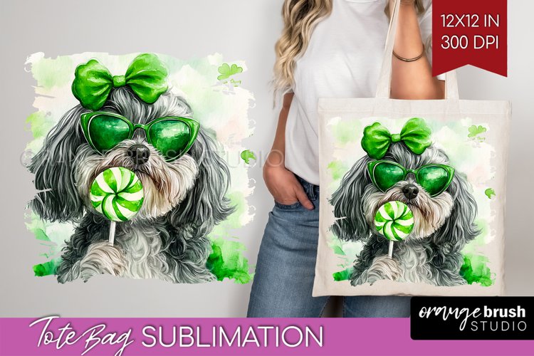 St Patrick's Day PNG Image 9