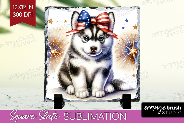 Husky Png Image 24