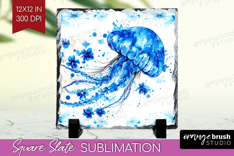 Jellyfish Png Image 5