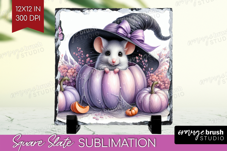 Mouse Clipart Image 11