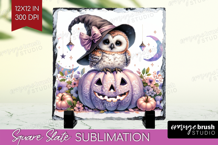 Owl Clipart Image 18