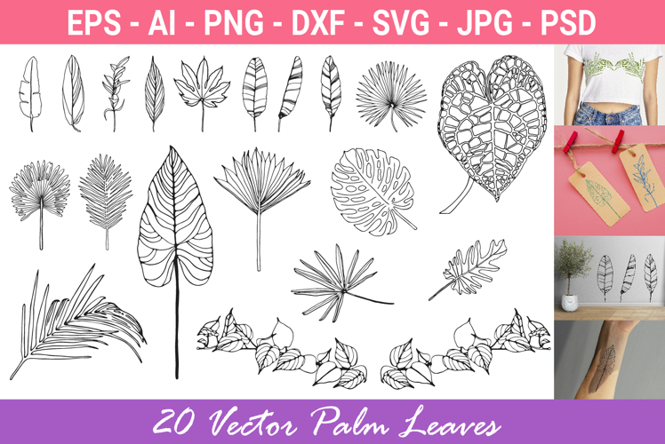 Palm Leaves svg, Botanical png