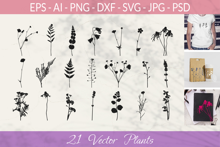 Foliage Png