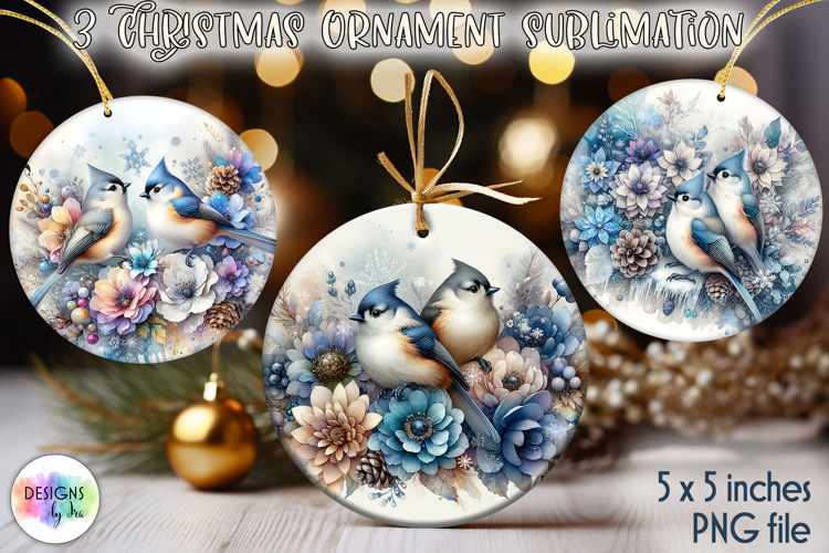 Christmas Ornaments Sublimation, Winter Bird Christmas PNG