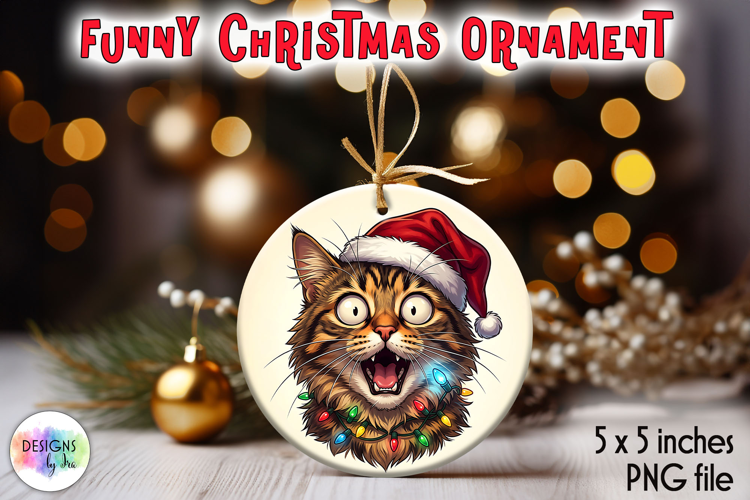 Christmas Ornaments Sublimation, Funny Christmas Cat PNG
