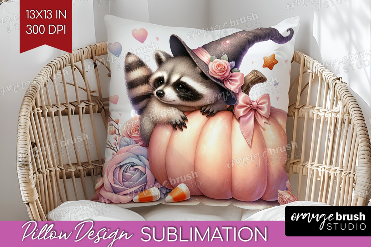 Raccoon Clipart Image 17