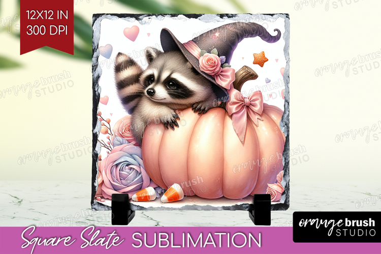 Raccoon Clipart Image 19