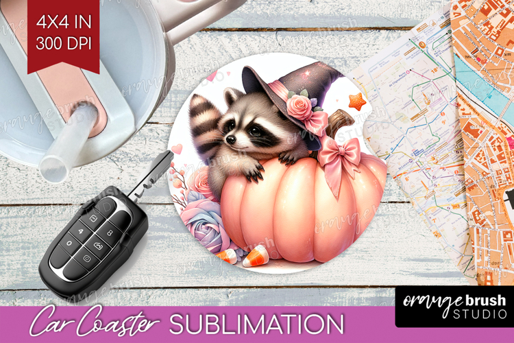 Raccoon Clipart Image 22