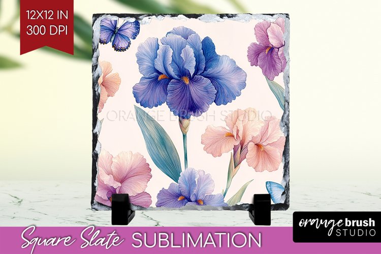 Spring Clipart Image 20