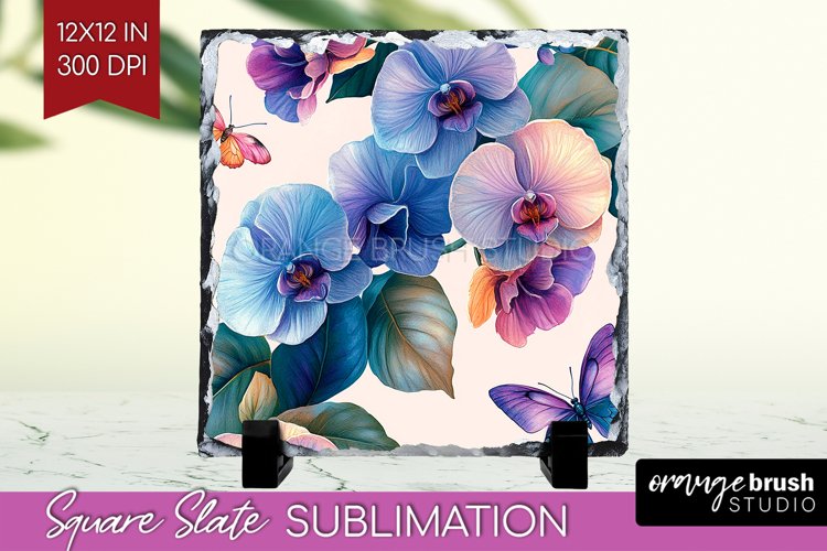 Spring Clipart Image 22
