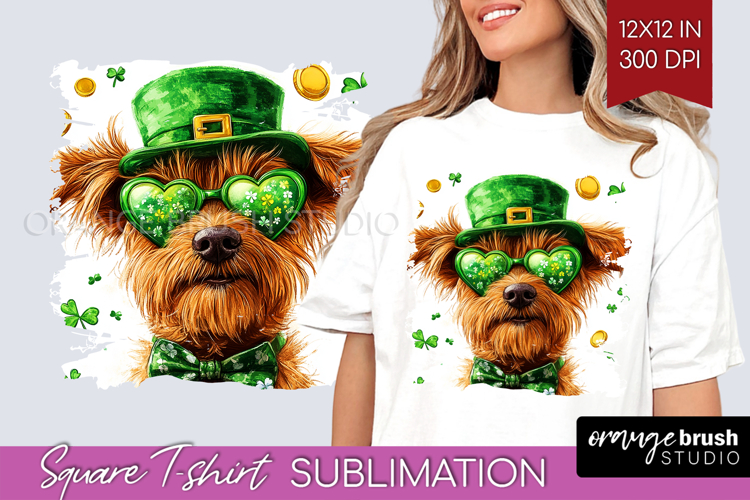 St Patrick's Day PNG Image 10