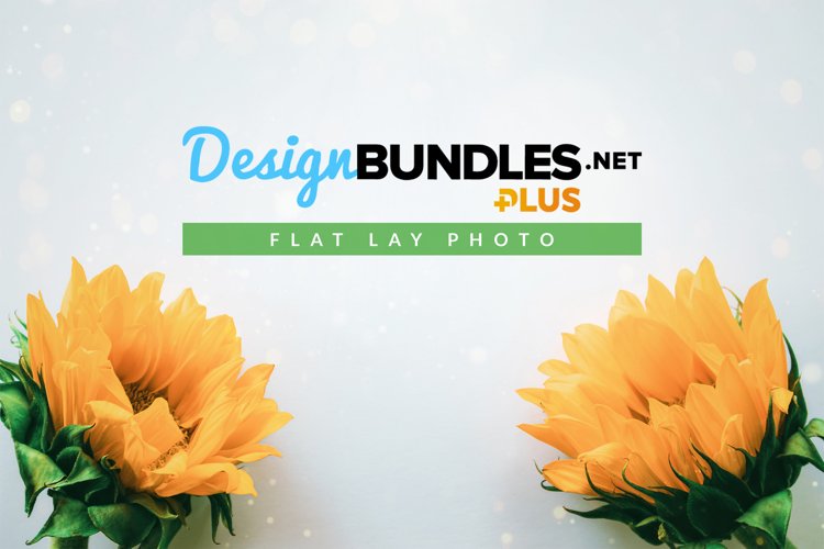 Sunflowers Background Image 20