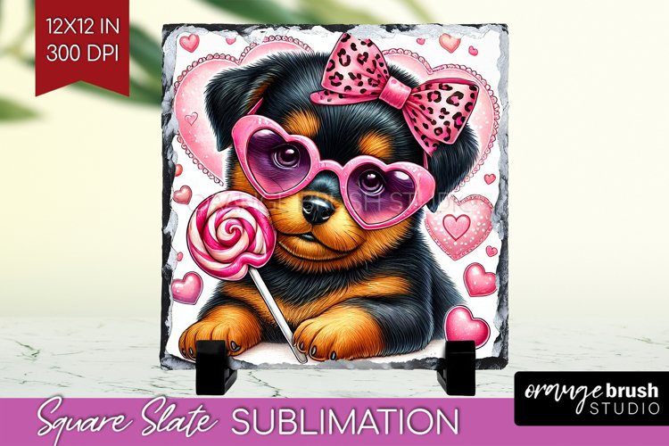Puppy Png Image 5