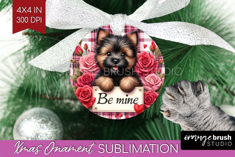 Valentines PNG Image 24