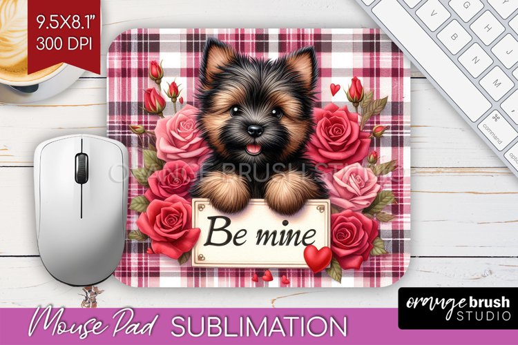 Valentines PNG Image 20