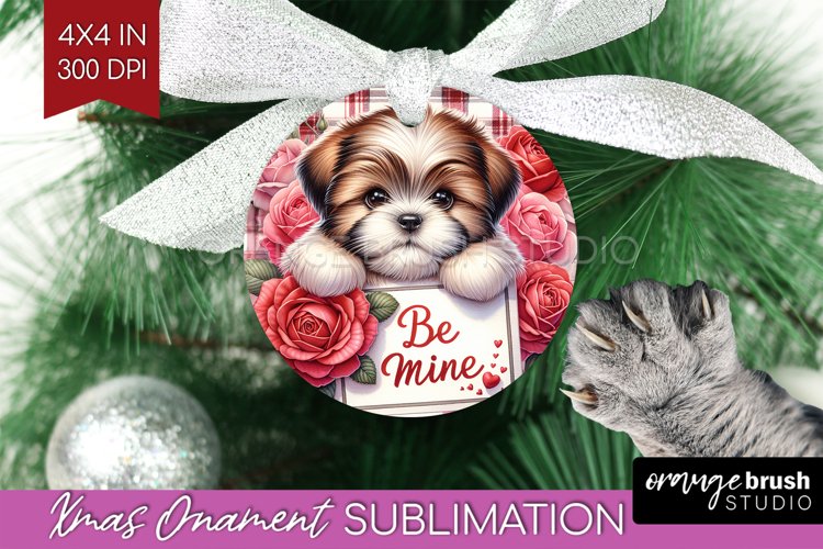 Valentines PNG Image 21