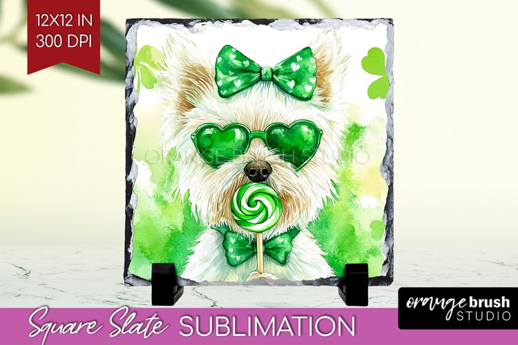 St Patrick's Day PNG Image 24