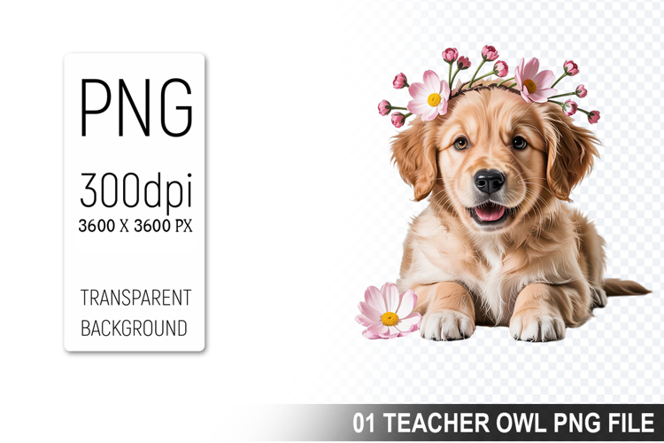 Pet Illustration Image 14