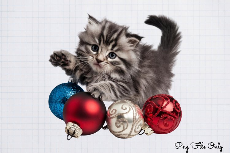 Boho Christmas Clipart Image 19