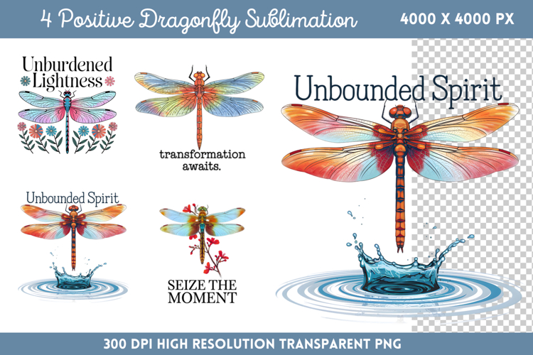Positive Dragonfly Sublimation PNG