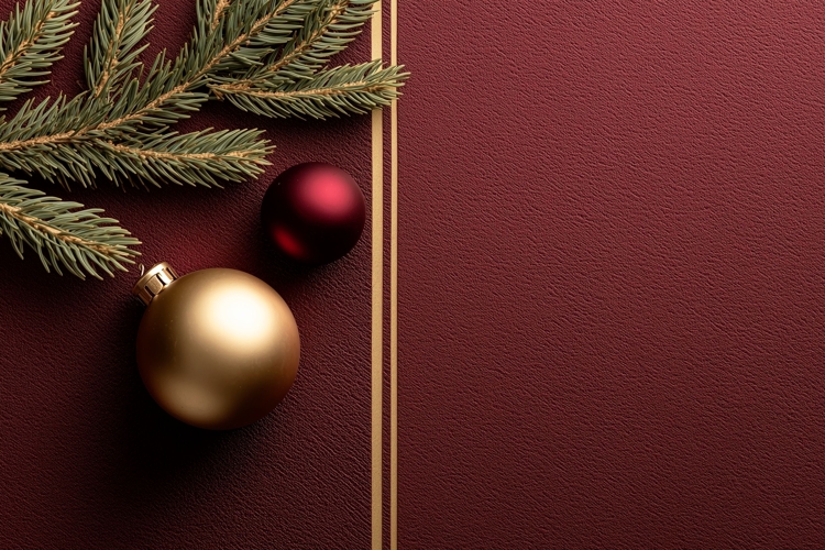 Holiday Background Image 13