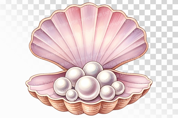 Scallop Shell Pearl Jewel Seashell Treasure PNG Summer