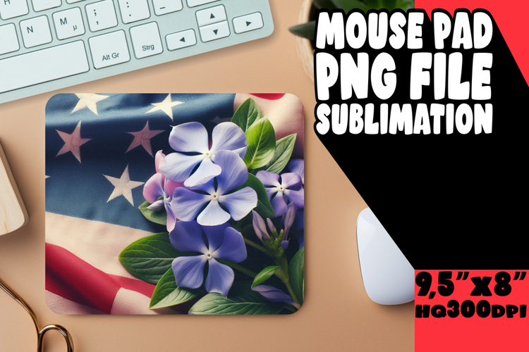 Usa Flag Png Image 18