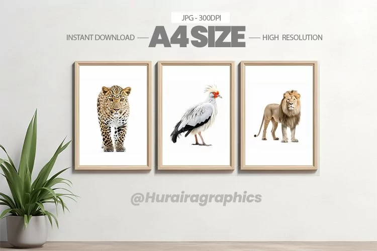 Animal Wall Art - 03 Variations