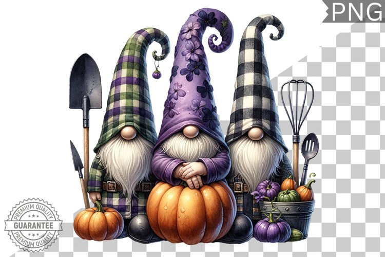 Gnome Clipart Image 18
