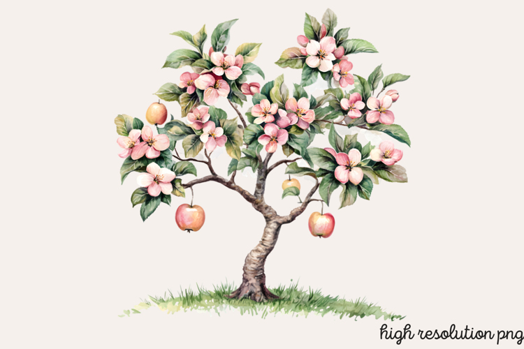 Baum Png Image 18