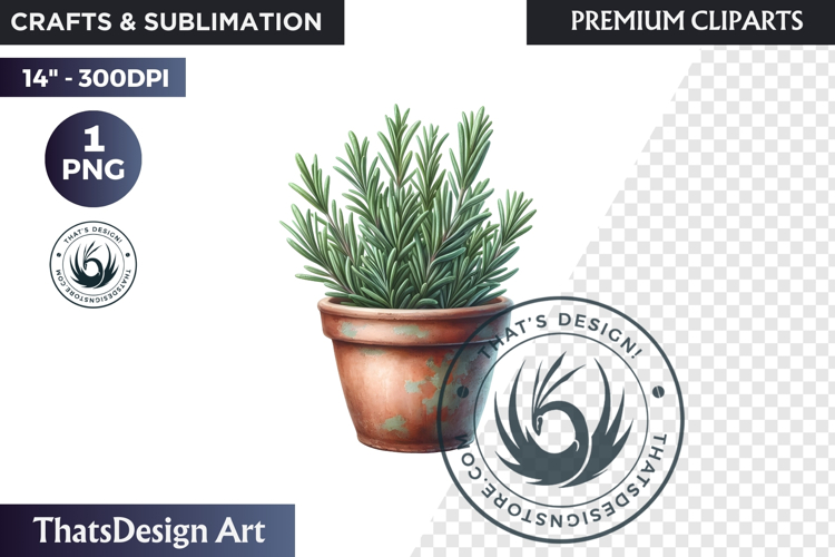 Medicinal Herbs clipart PNG, Apothecary Botanical Graphic