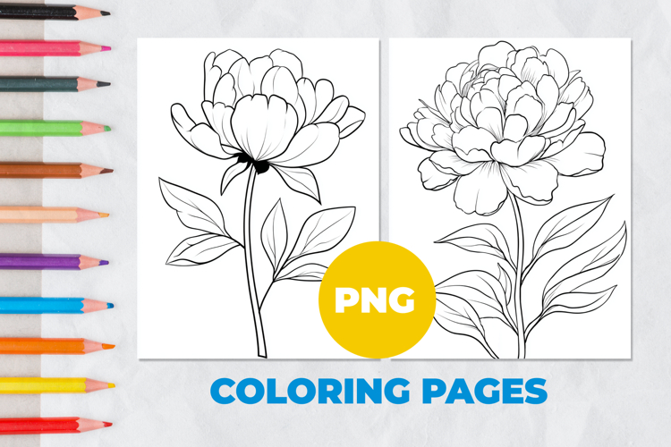 Peony flower Coloring Pages | Coloring book