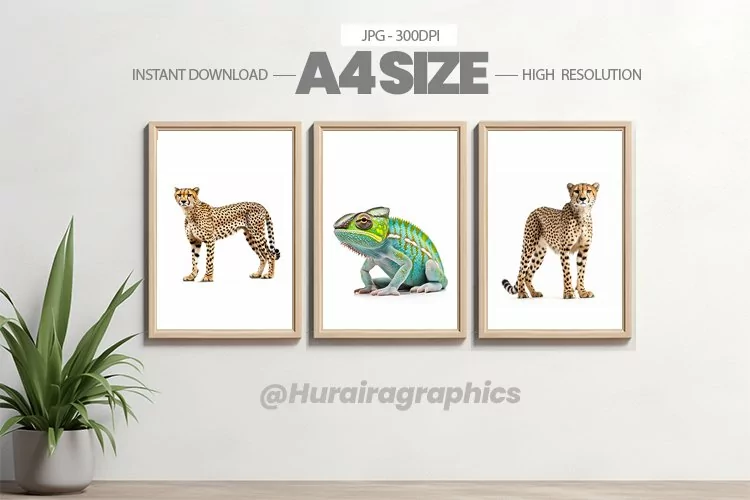Animal Wall Art - 03 Variations