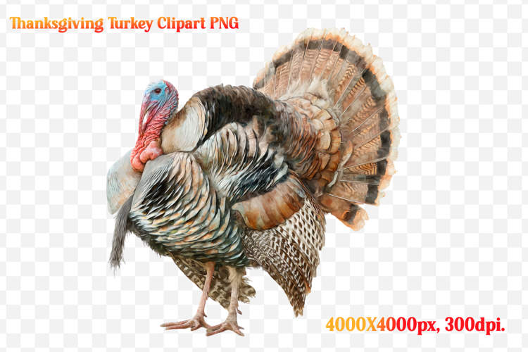 Watercolor Thanksgiving Turkey Clipart PNG