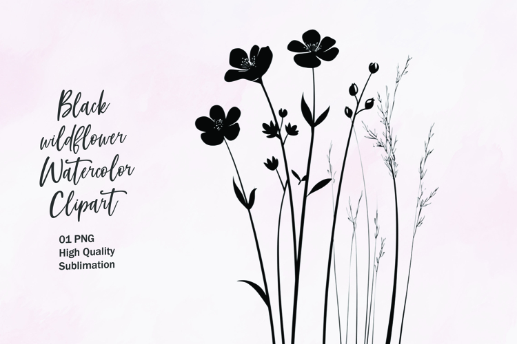 Flower Outline Png Image 9