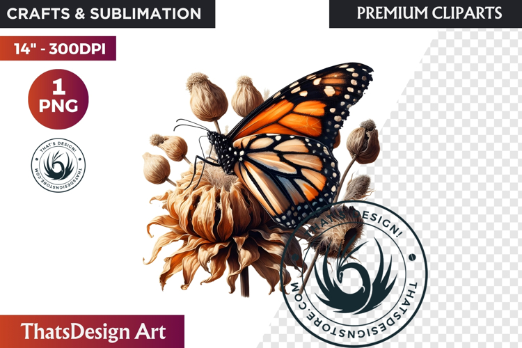 Monarch Butterfly Clipart Image 13