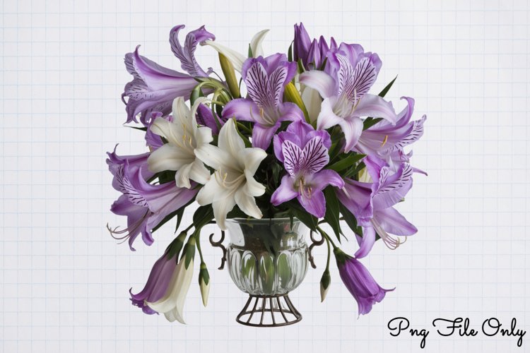 Mooflowers Clipart PNG example image 1