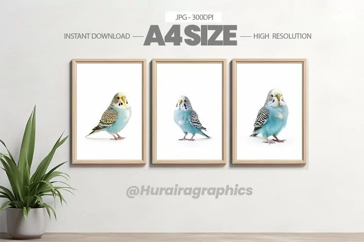 Bird Wall Art - 03 Variations