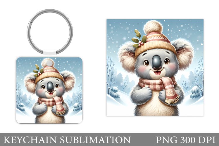 Cute Koala Pictures Image 6