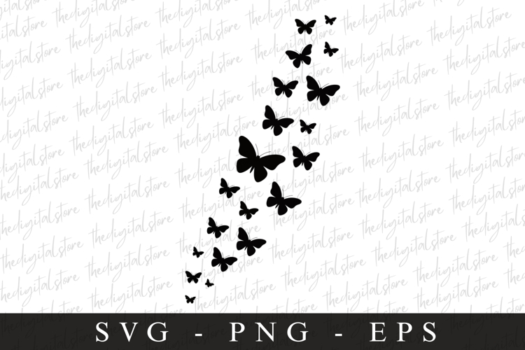 Buterfly SVG | SVG Cut files | Cricut