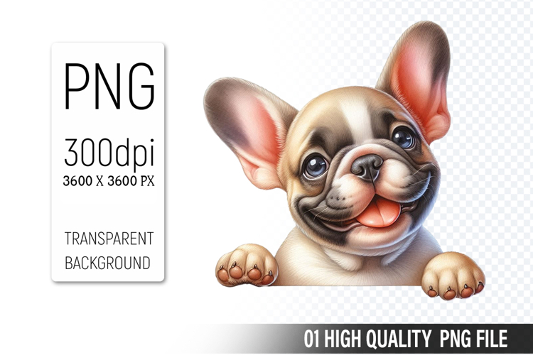 Dog Png Image 13